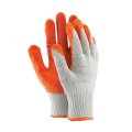 WAMP_03.png